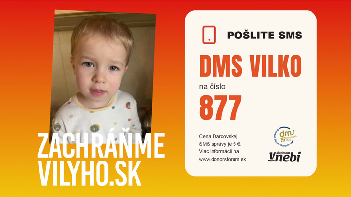 V siedmom nebi - Vilko DMS